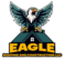 Eagle Roofing and Construction LLC